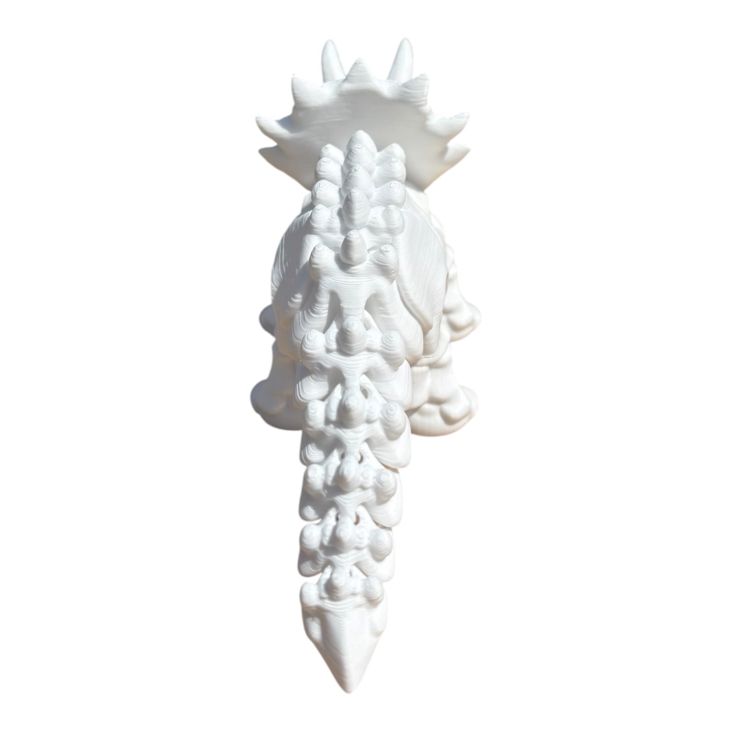 Tricératops Squelette Articulé