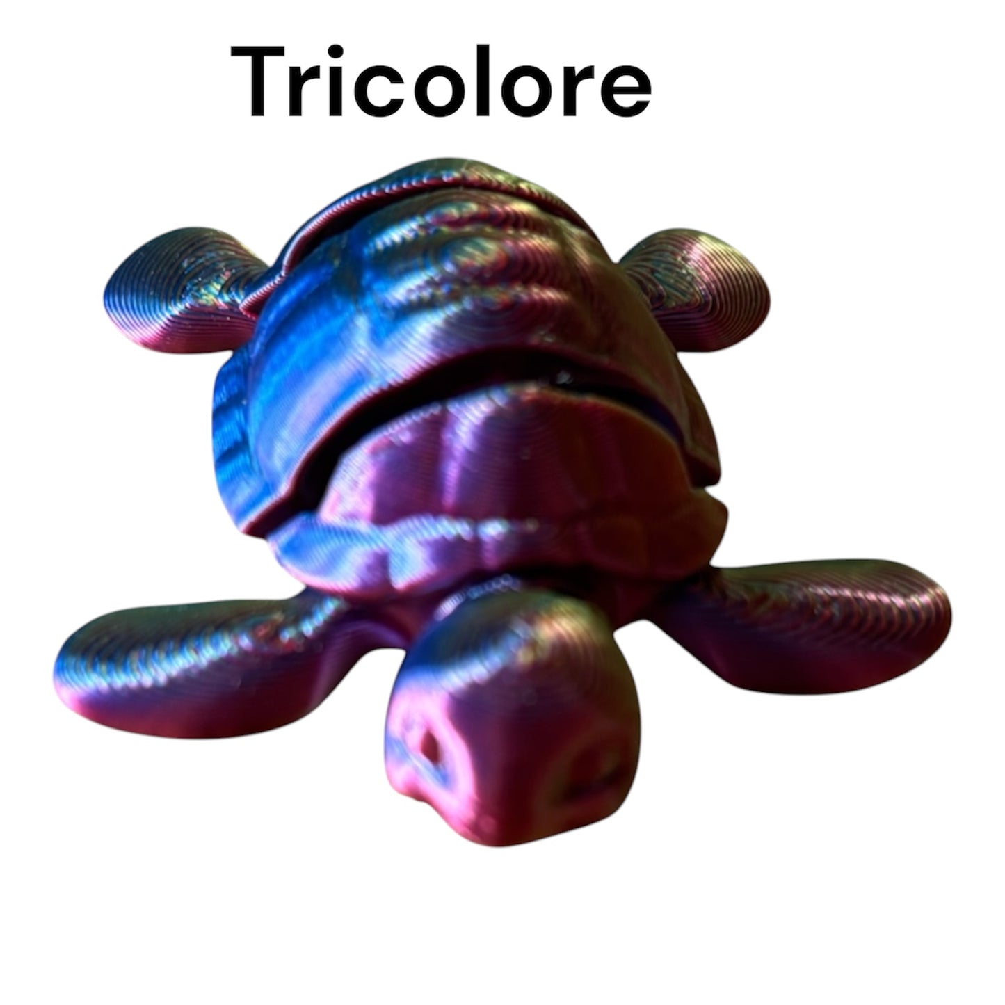 Tortue Articulée