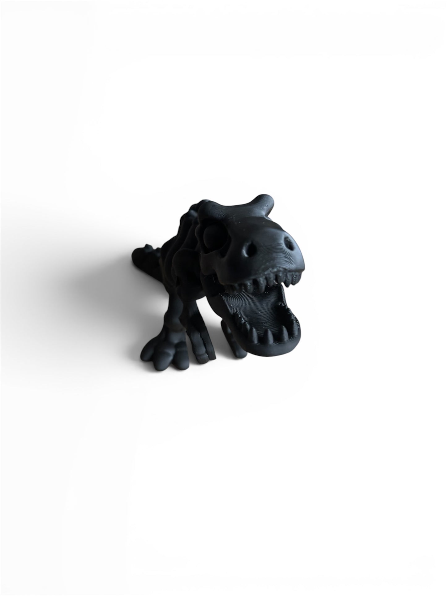 T-rex Squelette Articulé