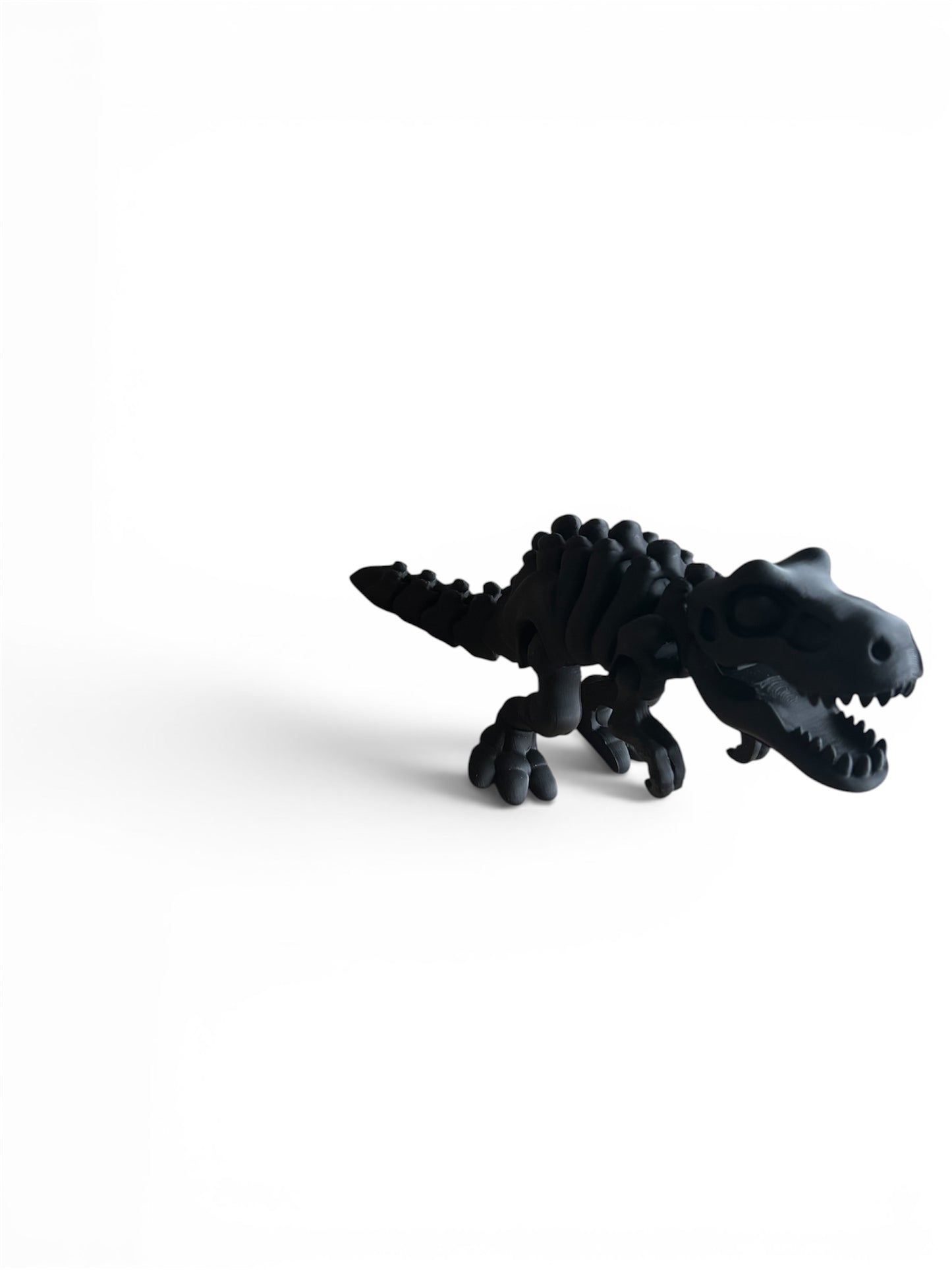 T-rex Squelette Articulé