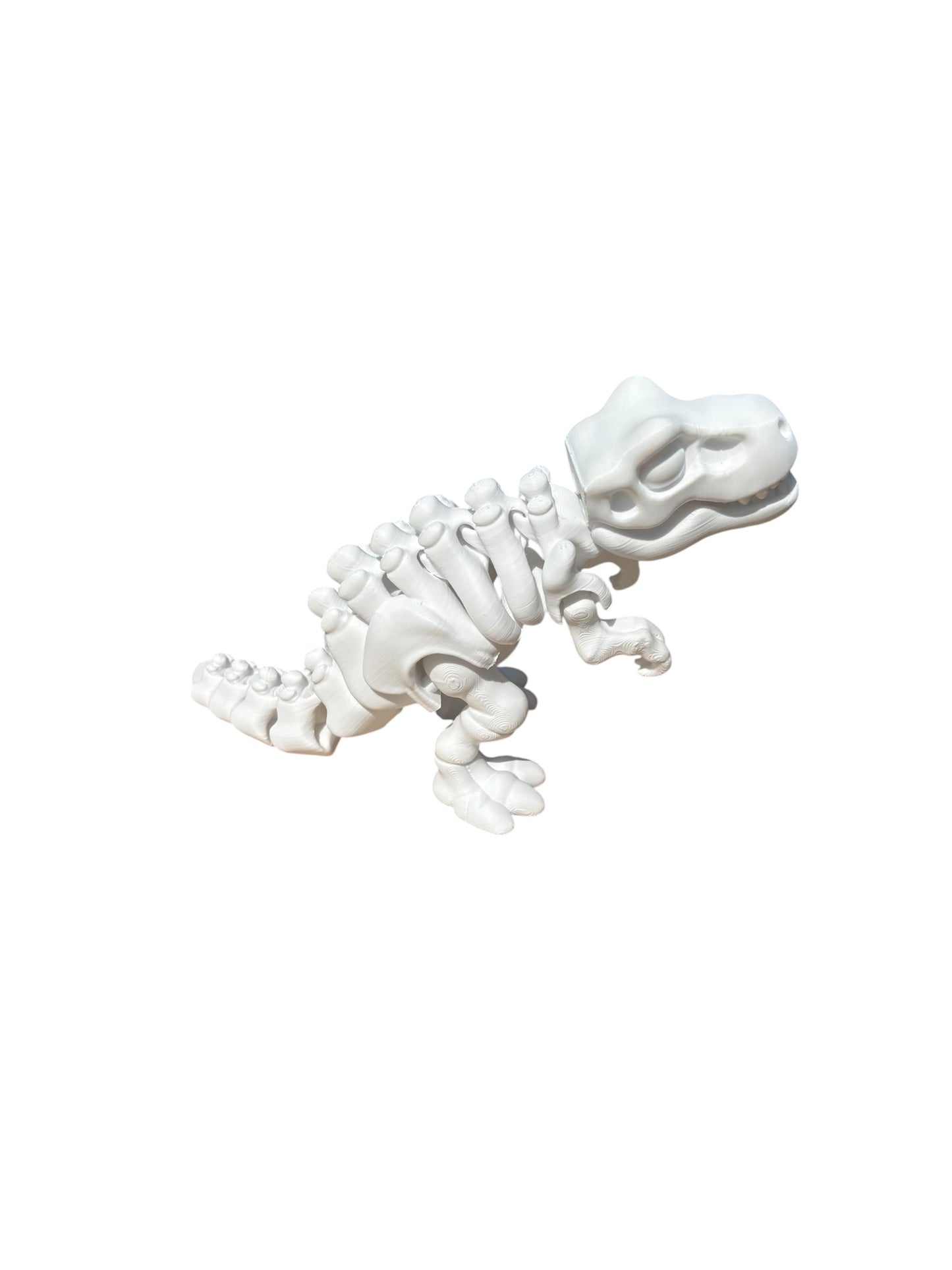 T-rex Squelette Articulé