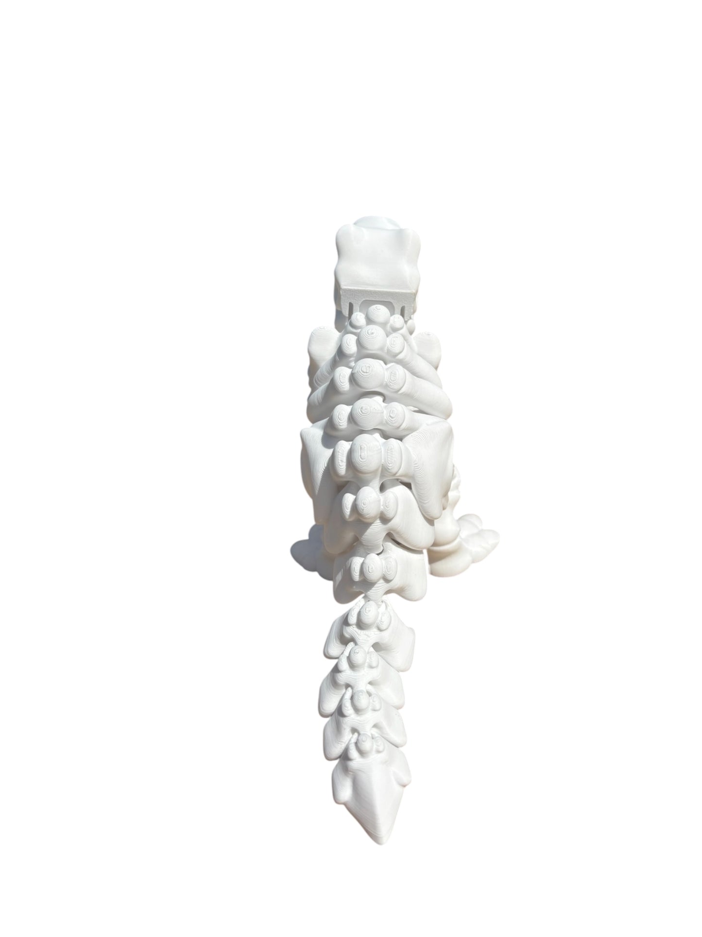 T-rex Squelette Articulé