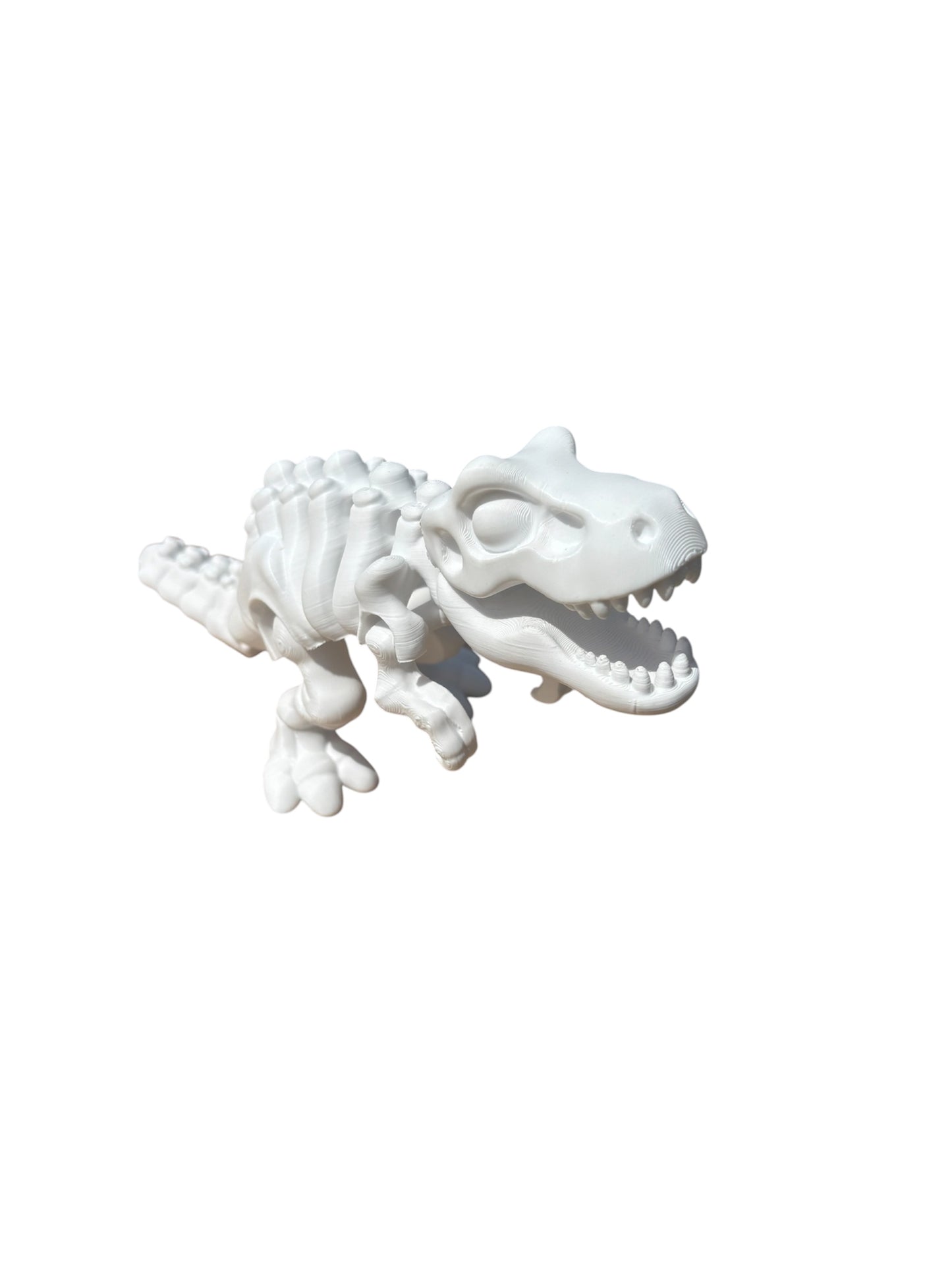 T-rex Squelette Articulé