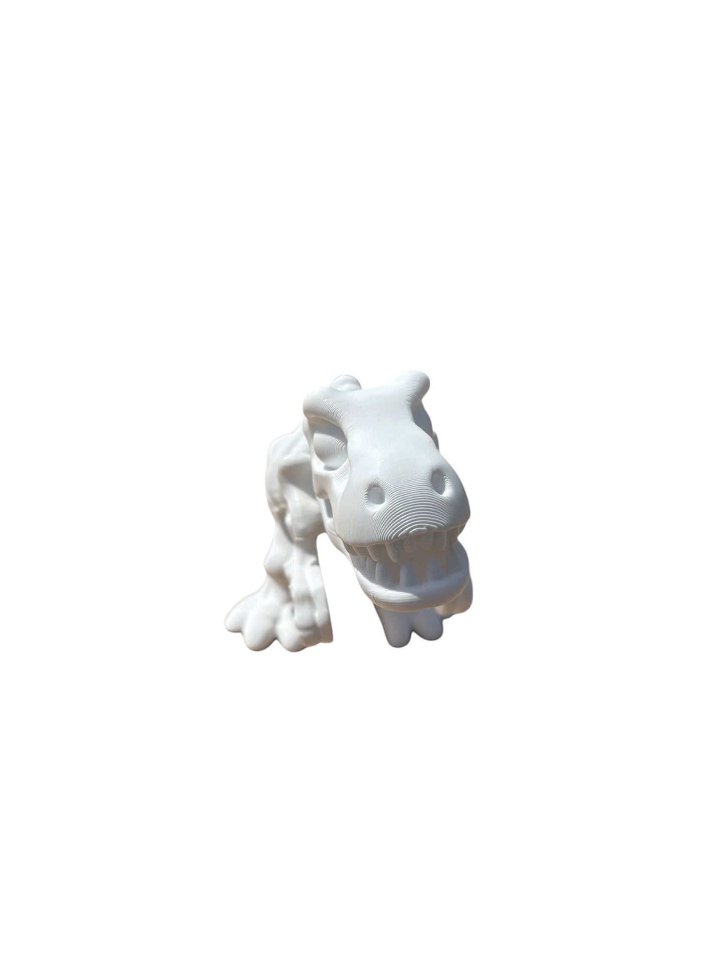 T-rex Squelette Articulé