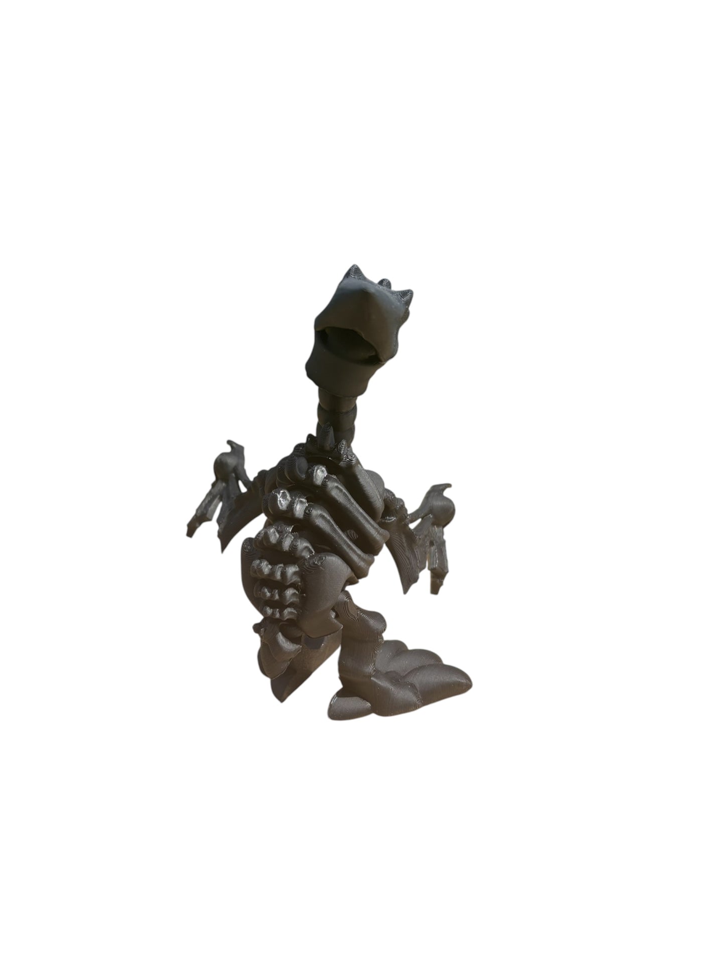 Ptérodactyle Squelette Articulé