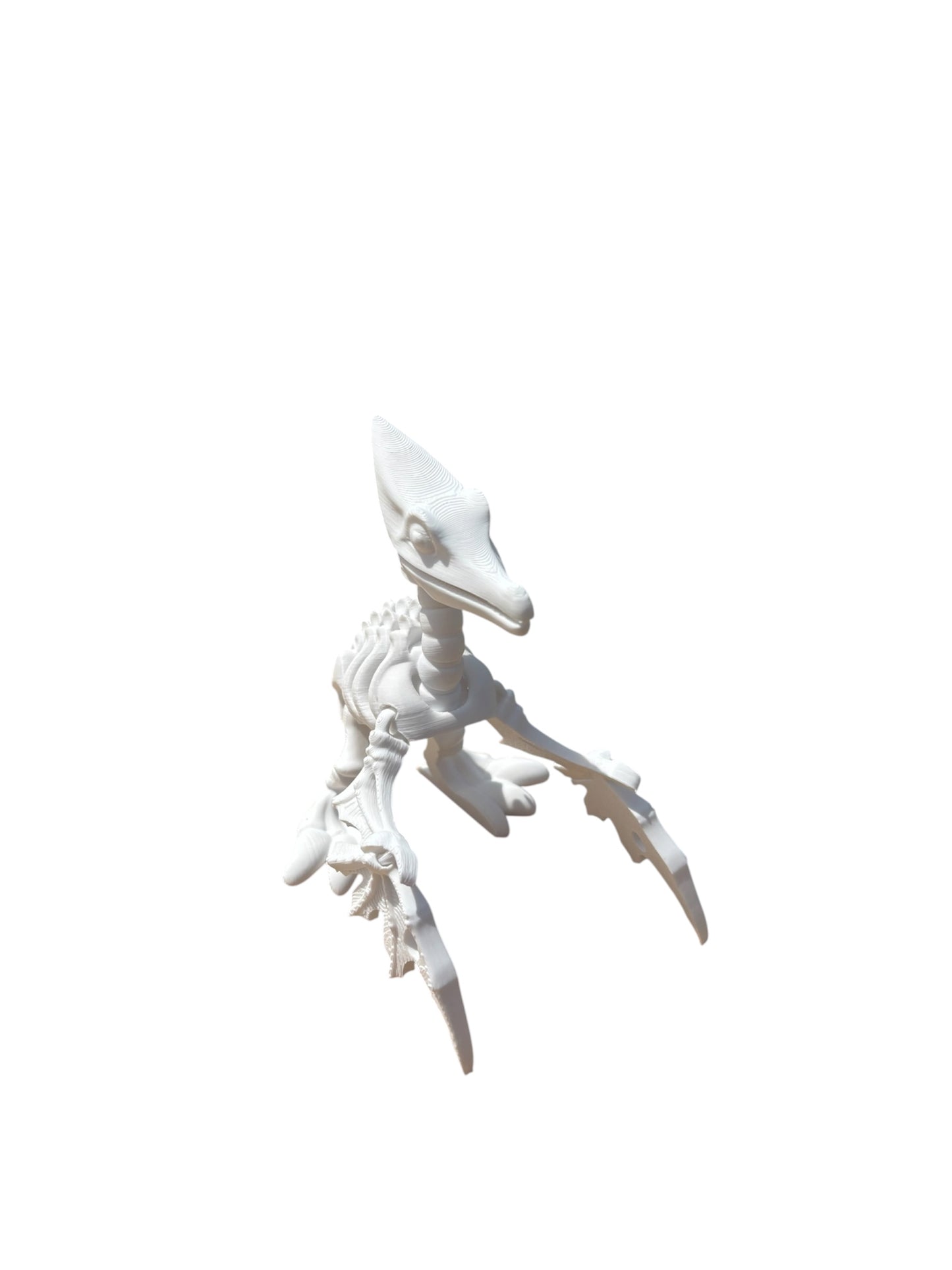 Ptérodactyle Squelette Articulé