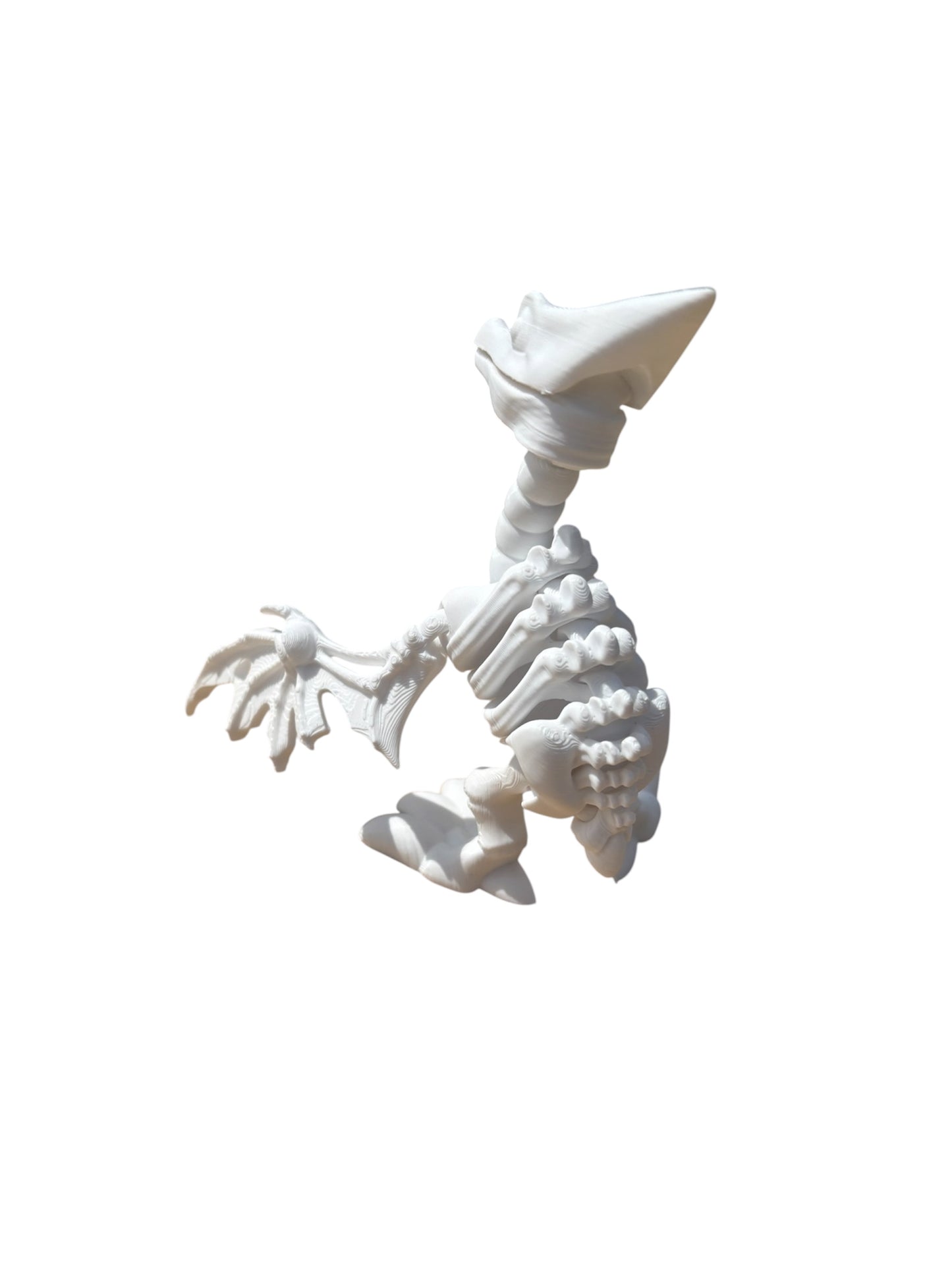 Ptérodactyle Squelette Articulé