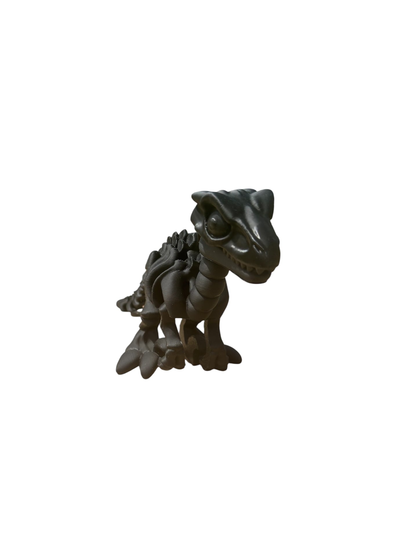 Vélociraptor Squelette Articulé