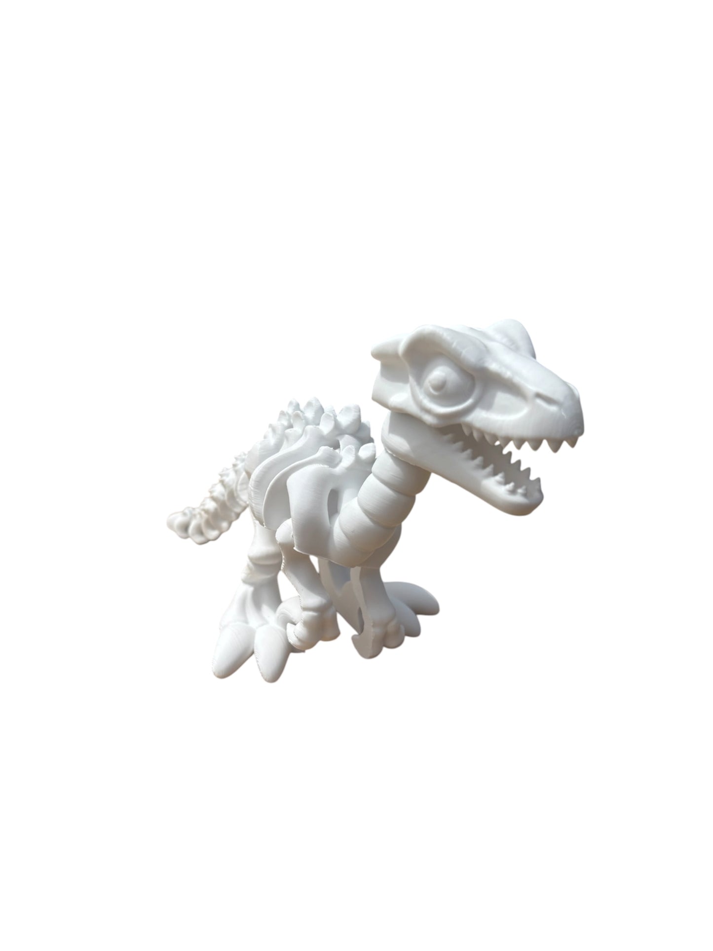 Vélociraptor Squelette Articulé