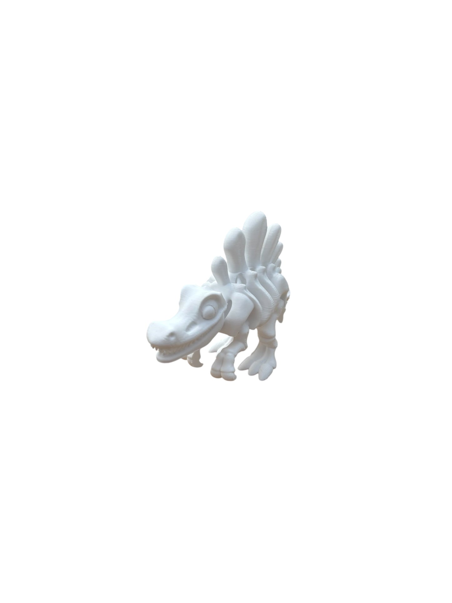 Spinosaure Squelette Articulé
