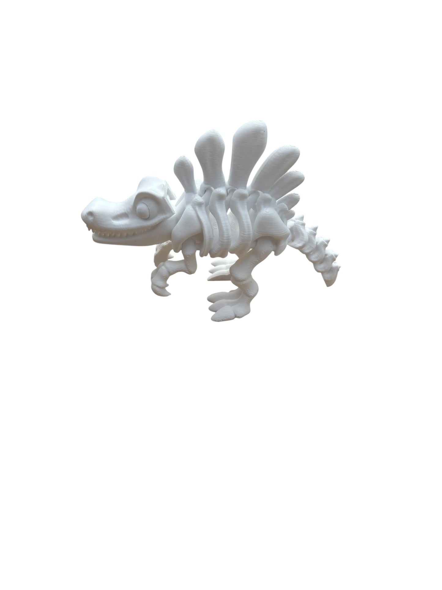 Spinosaure Squelette Articulé