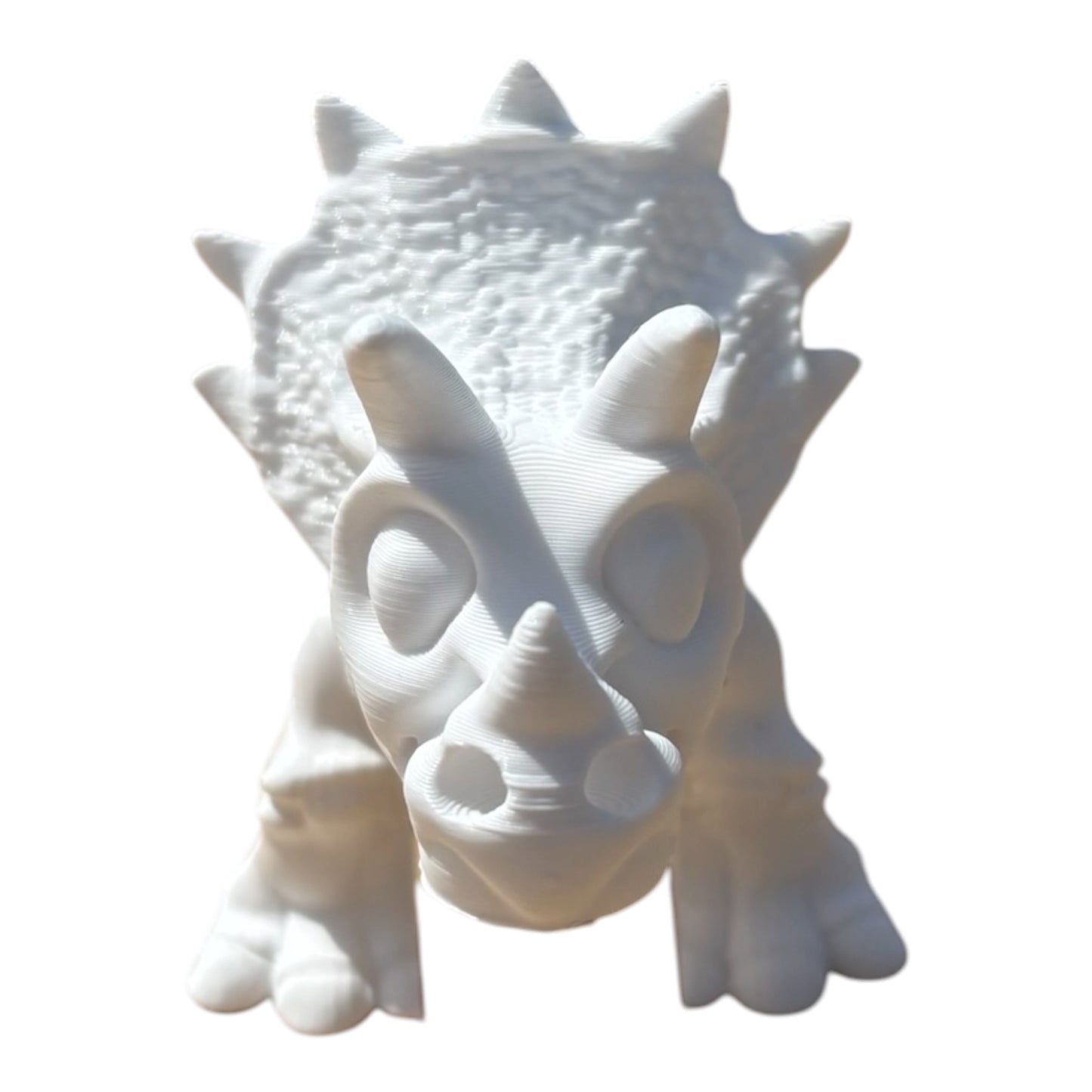 Tricératops Squelette Articulé