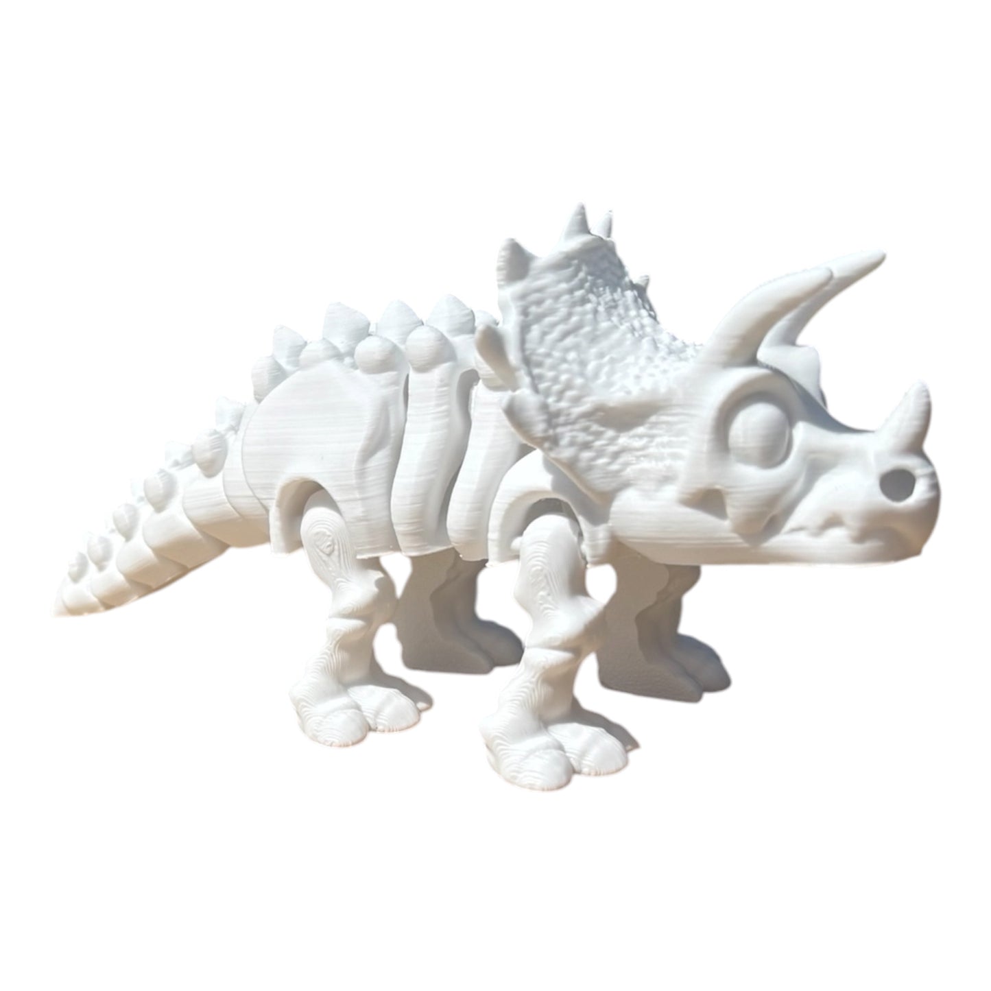 Tricératops Squelette Articulé