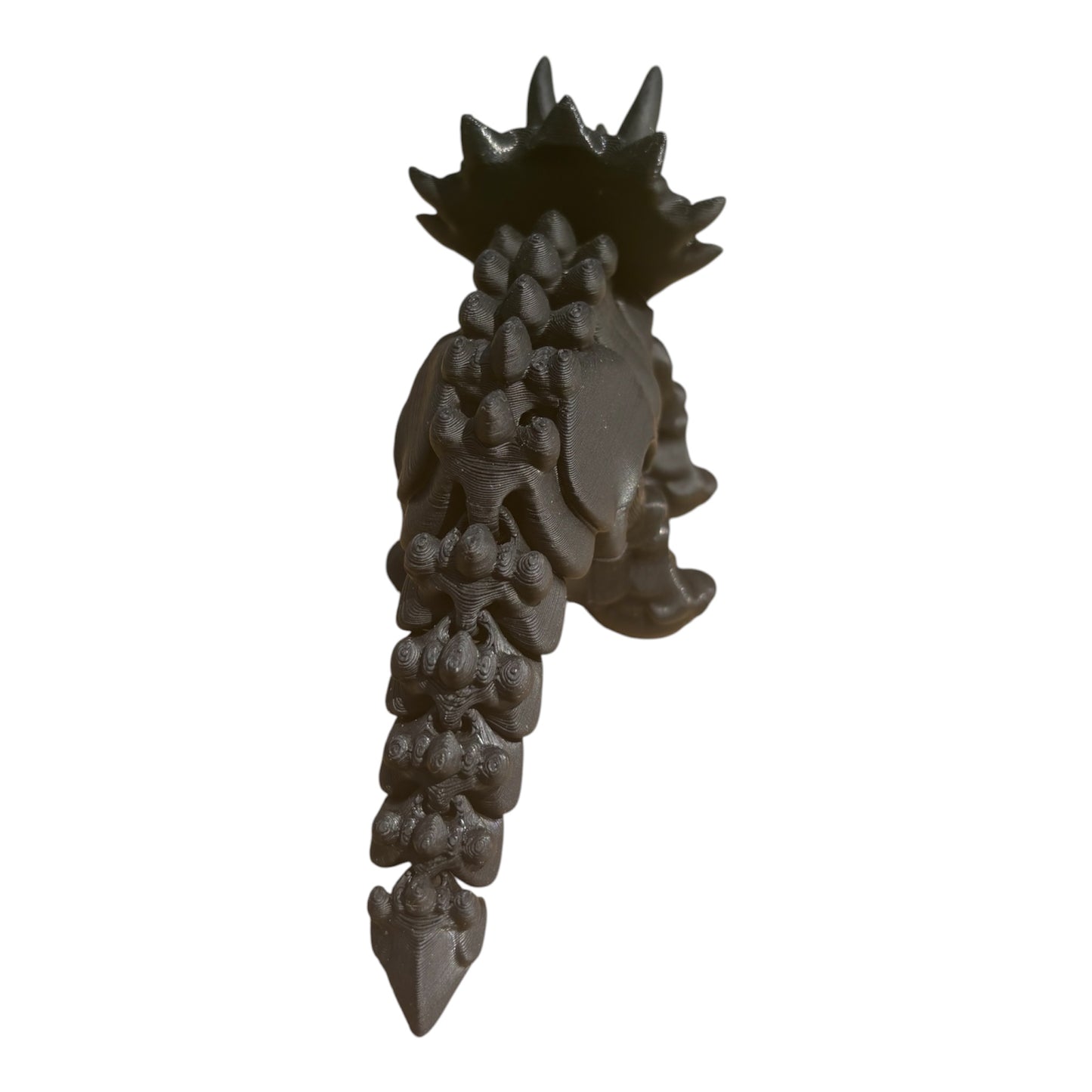 Tricératops Squelette Articulé