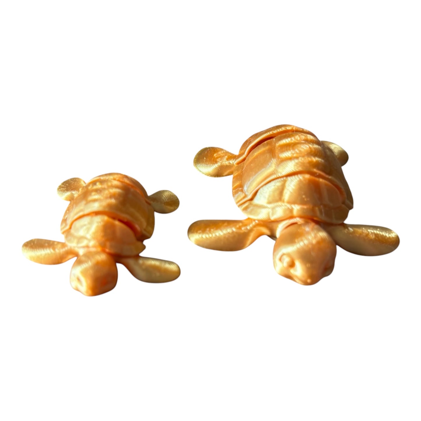 Tortue Articulée