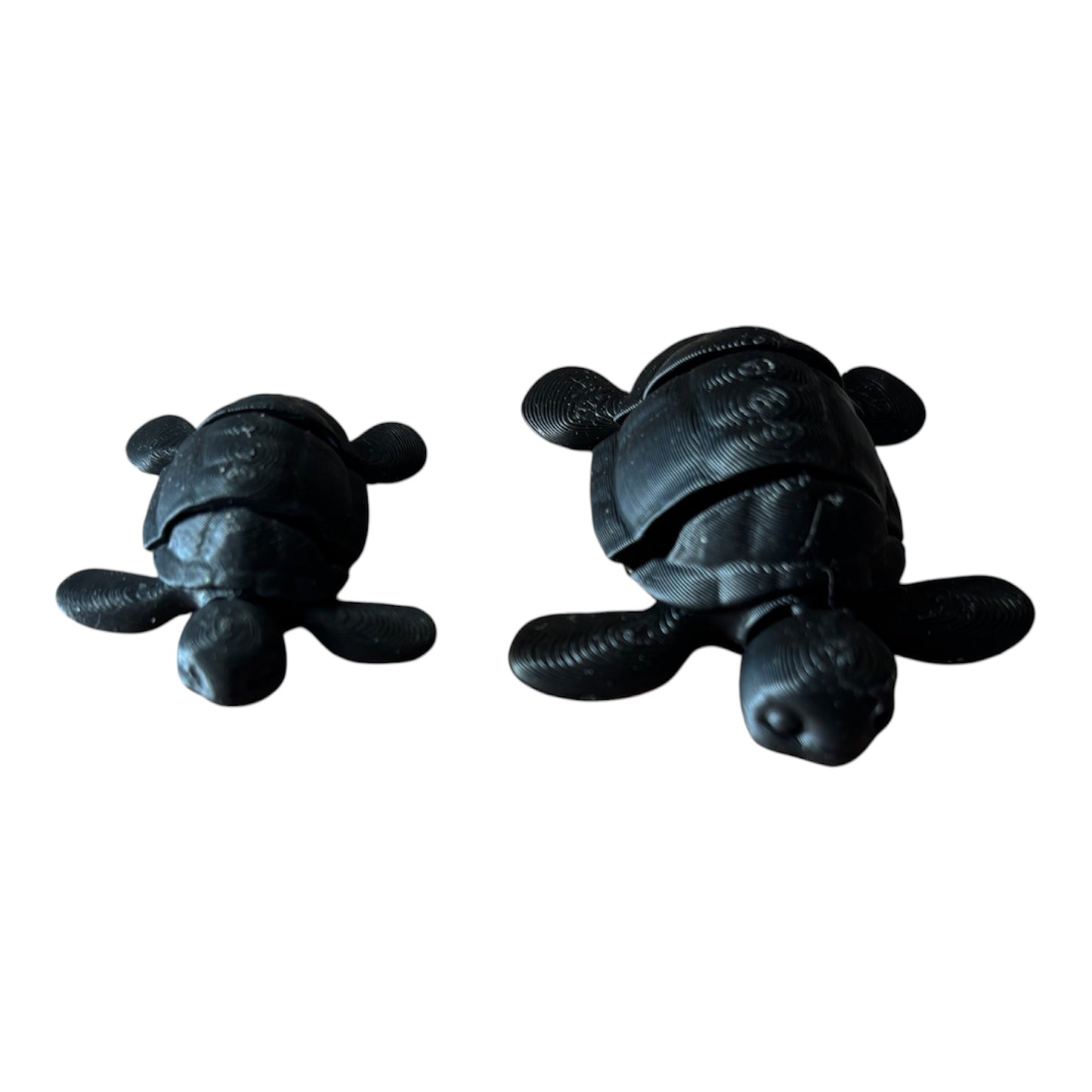 Tortue Articulée