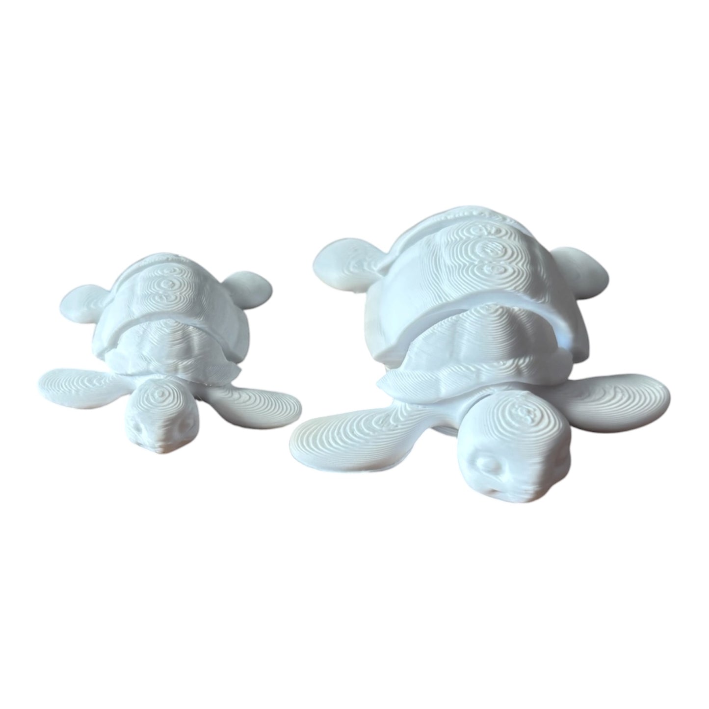 Tortue Articulée
